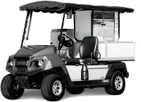 Shop Custom Golf Carts in Modesto, CA